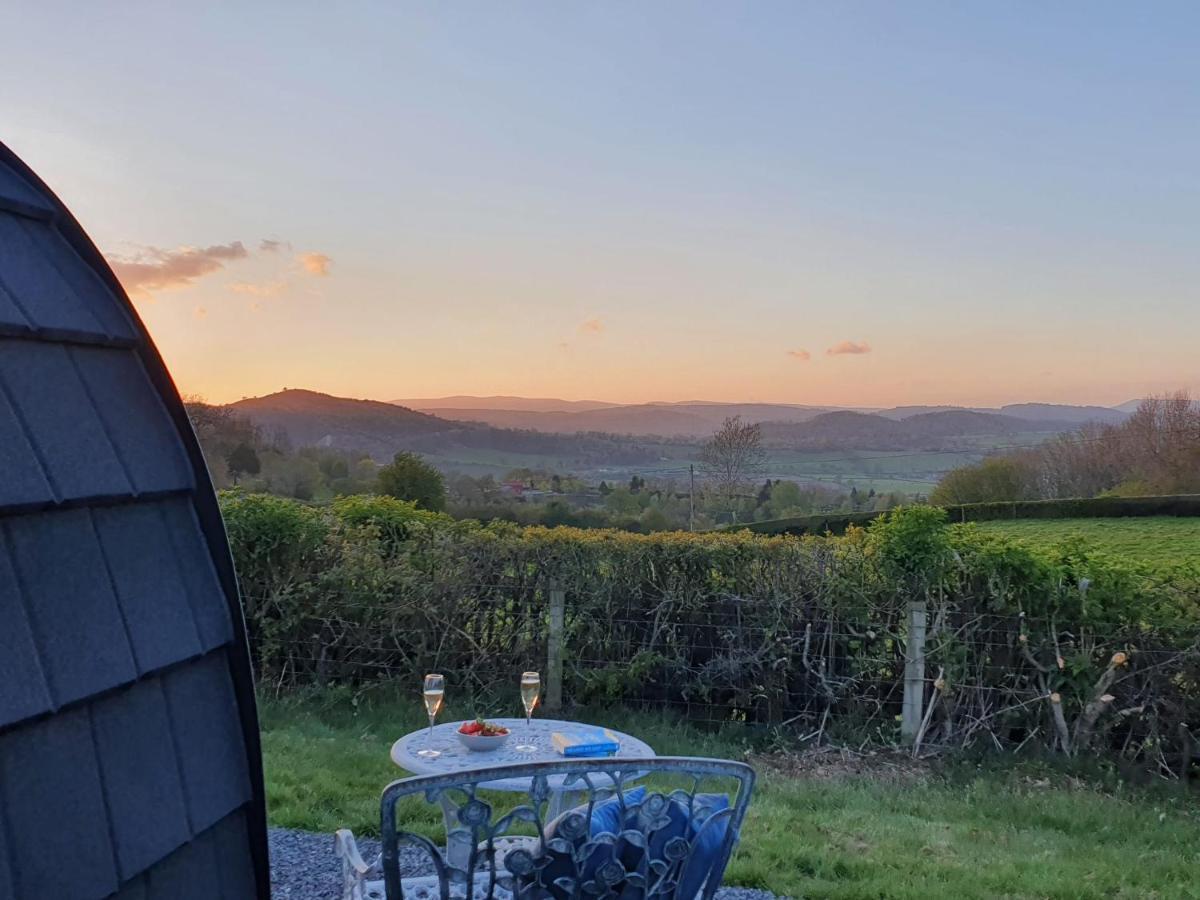 Odli Glamping - Luxury Glamping Pod Vila Welshpool Exterior foto