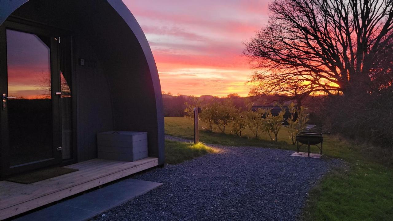 Odli Glamping - Luxury Glamping Pod Vila Welshpool Exterior foto